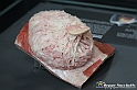 VBS_2540 - Ghiandola Mammaria - Mostra Body Worlds
